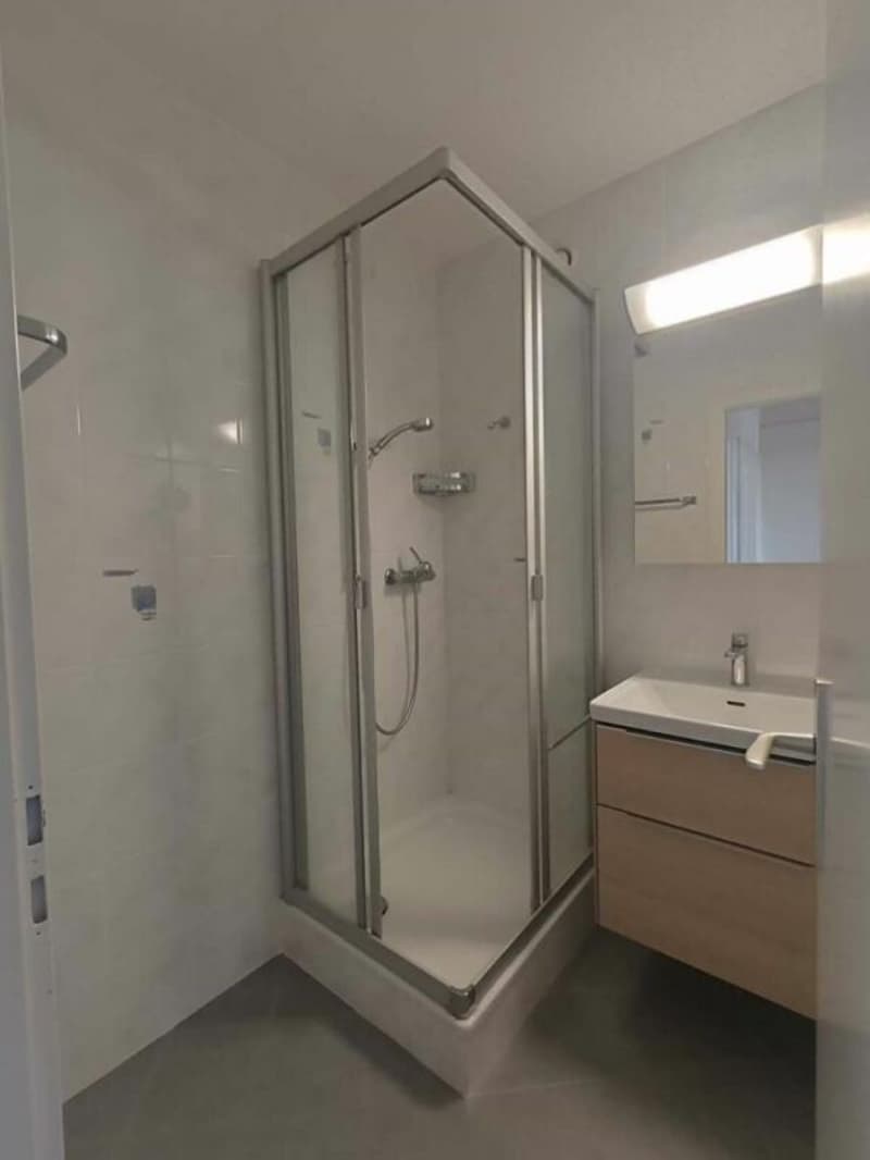 Ormeaux - Appartement de 3.5 pièces (9)