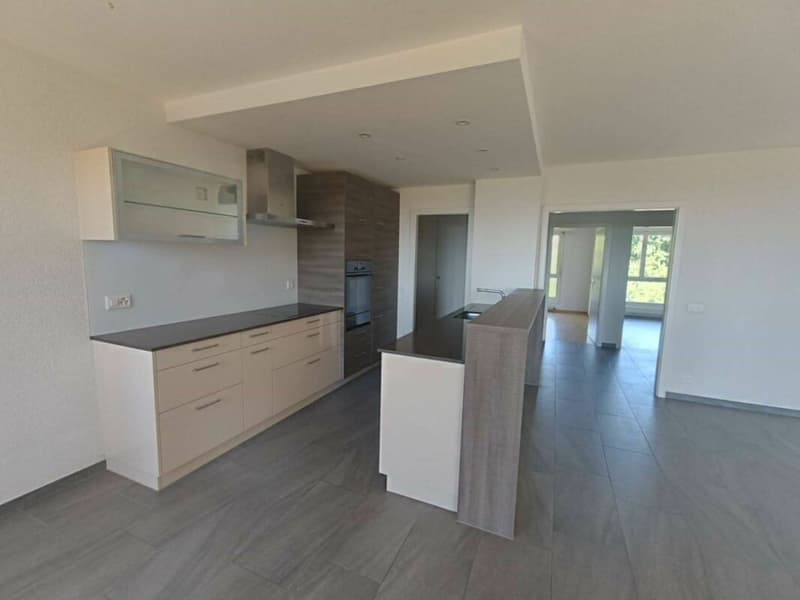 Ormeaux - Appartement de 3.5 pièces (3)