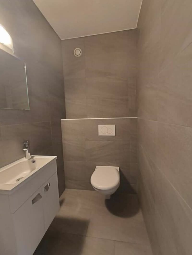 Ormeaux - Appartement de 3.5 pièces (8)