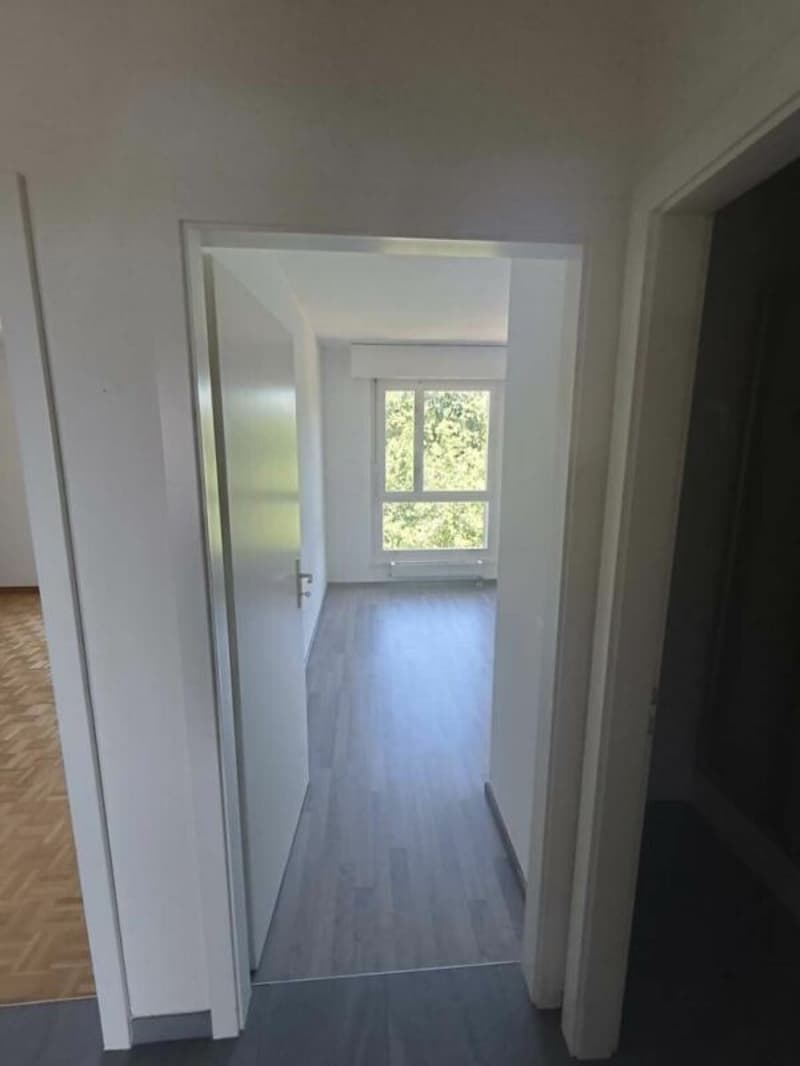 Ormeaux - Appartement de 3.5 pièces (5)