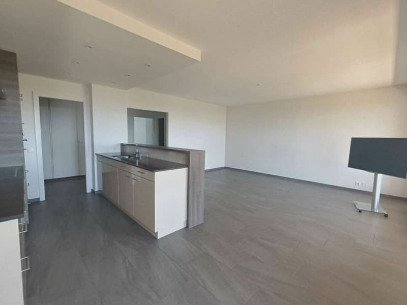 Ormeaux - Appartement de 3.5 pièces (2)