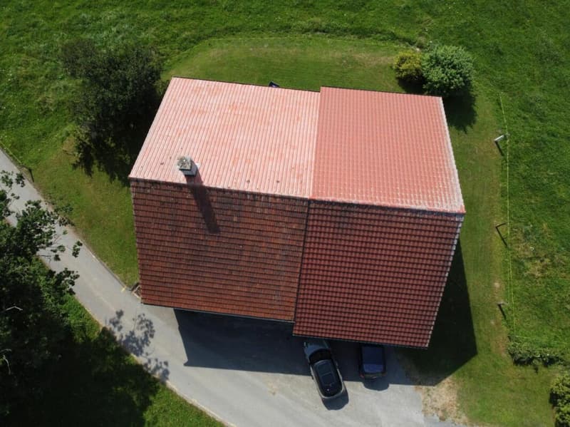 Grande maison (ancienne ferme) de 7 pièces avec vue sur le Moléson - Fiaugères (16)