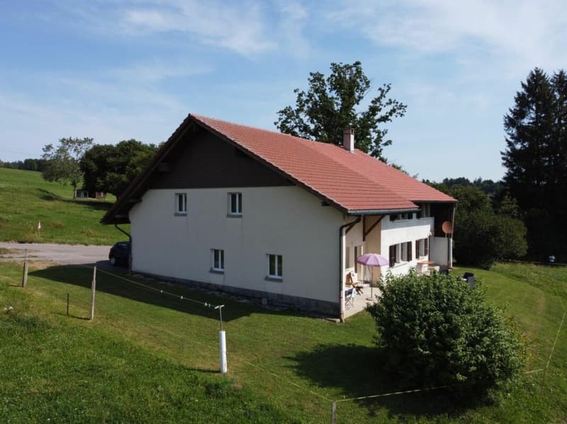 Grande maison (ancienne ferme) de 7 pièces avec vue sur le Moléson - Fiaugères (2)