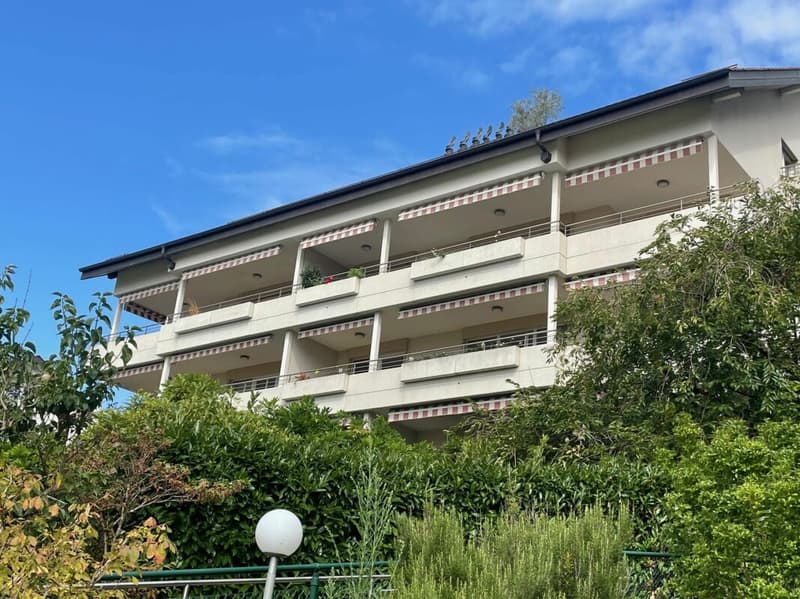 Ramiers - Appartement de 4.5 pièces (12)