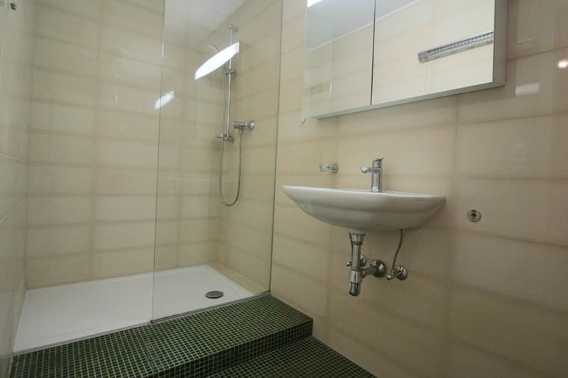 Appartement de 2 pièces (9)