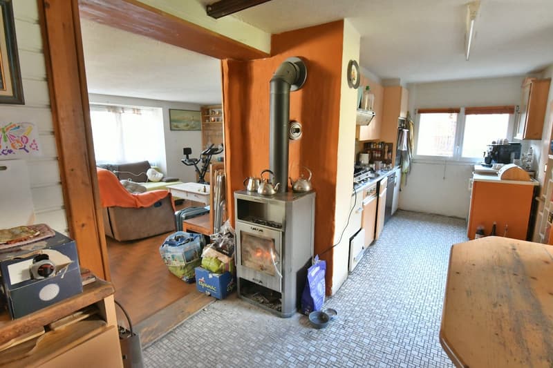 A saisir à Chamoson/VS, propriété composée de 3,5 parcelles, 1 maison et 1 grange (4)