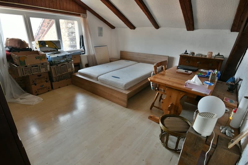 A saisir à Chamoson/VS, propriété composée de 3,5 parcelles, 1 maison et 1 grange (10)