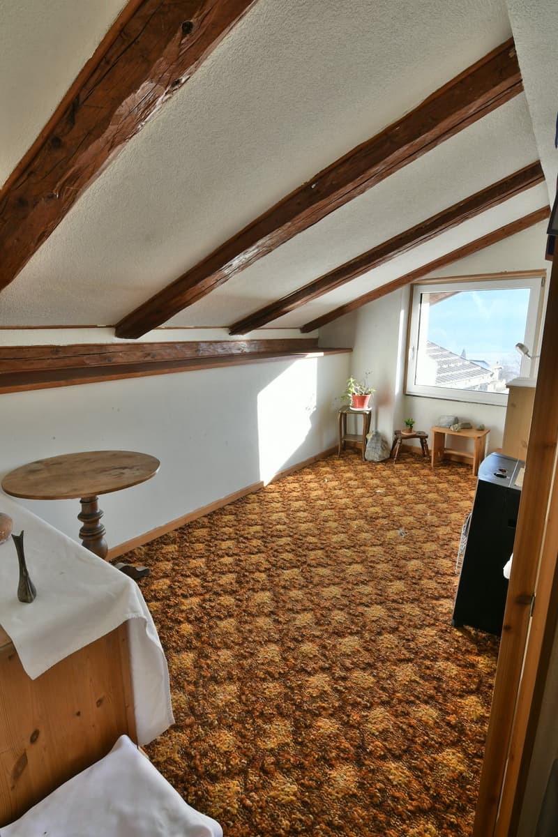 A saisir à Chamoson/VS, propriété composée de 3,5 parcelles, 1 maison et 1 grange (7)