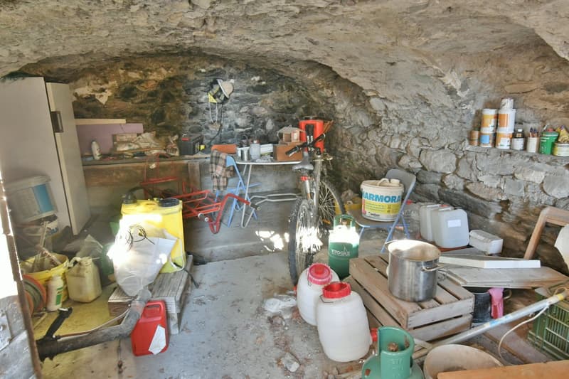 A saisir à Chamoson/VS, propriété composée de 3,5 parcelles, 1 maison et 1 grange (17)