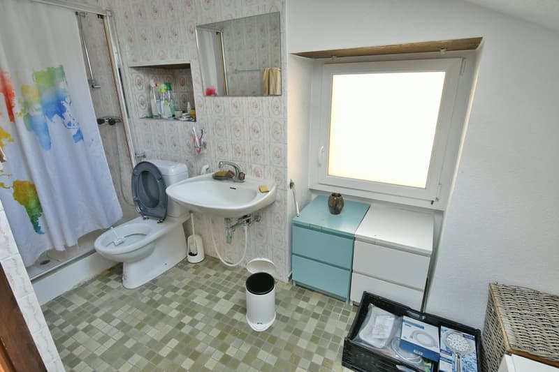 A saisir à Chamoson/VS, propriété composée de 3,5 parcelles, 1 maison et 1 grange (12)