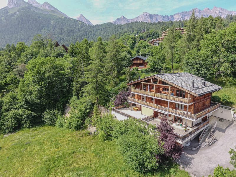 Chaleureux appartement de 2.5 pièces de standing avec grande terrasse à Ovronnaz/VS (1)