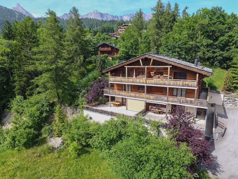 Chaleureux appartement de 2.5 pièces de standing avec grande terrasse à Ovronnaz/VS (12)