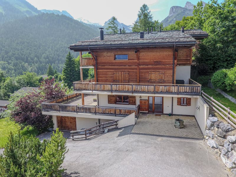 Chaleureux appartement de 2.5 pièces de standing avec grande terrasse à Ovronnaz/VS (14)