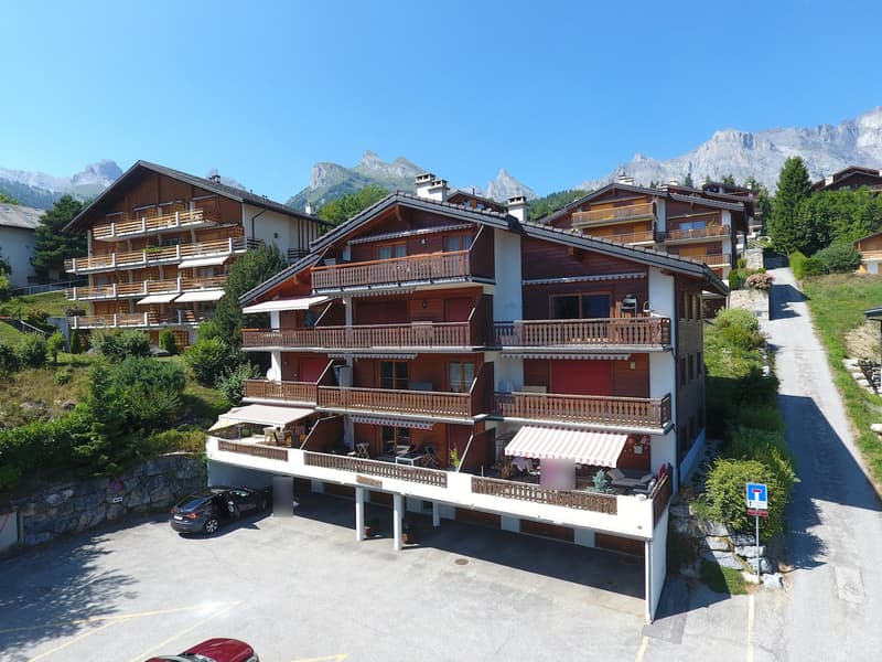 Spacieux appartement de 2.5 pièces à Ovronnaz/VS (12)