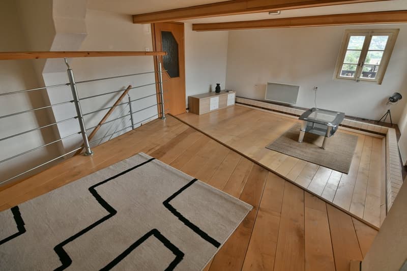 open floor plan, wooden floor, white walls, rug, glass table, metal handrail, balcony, radiator