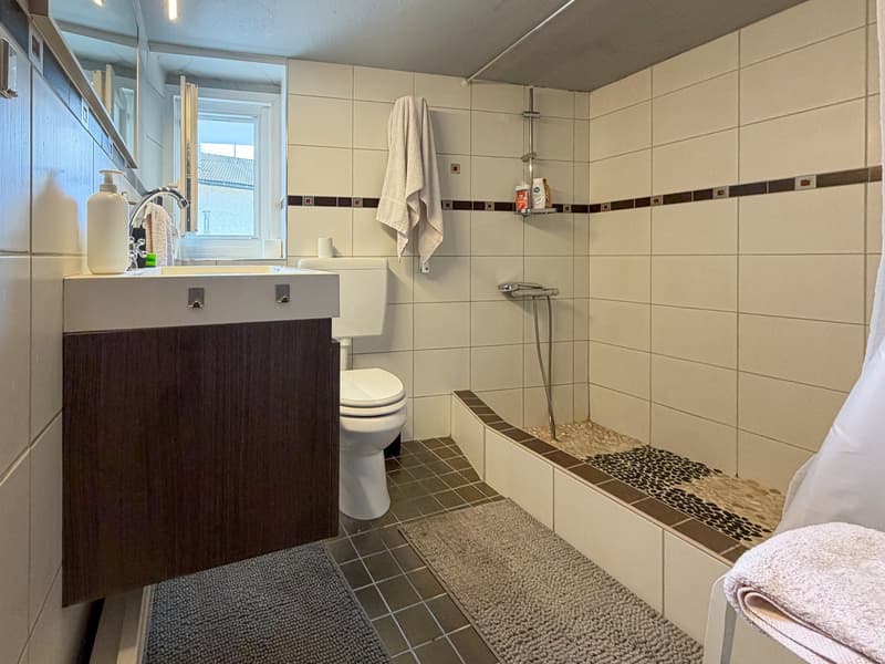 Appartement complètement atypique dans un chalet ancien à Ayent-Luc / Valais (11)