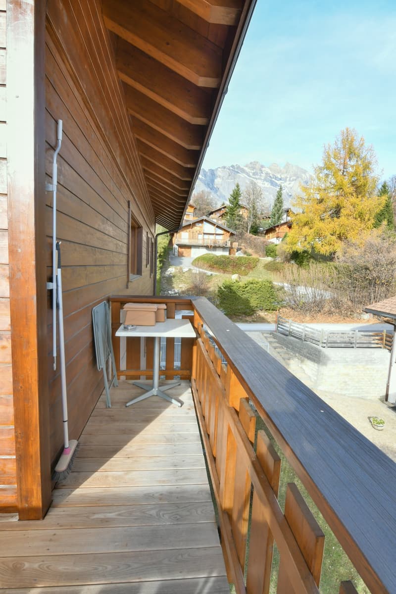 Outdoor wooden balcony, large table, chairs, cleaning brush, stunning mountain view