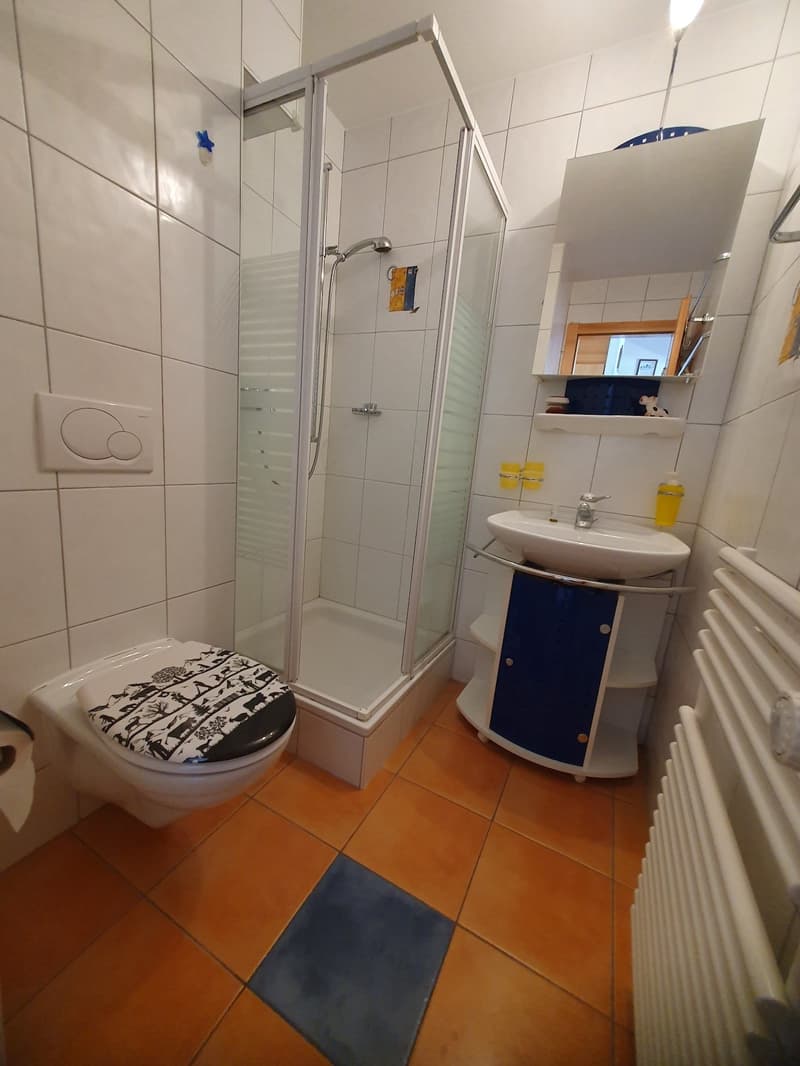 Modern white tiles, glass shower, white toilet, white sink, radiator, towel rack, blue mat, white shower curtain