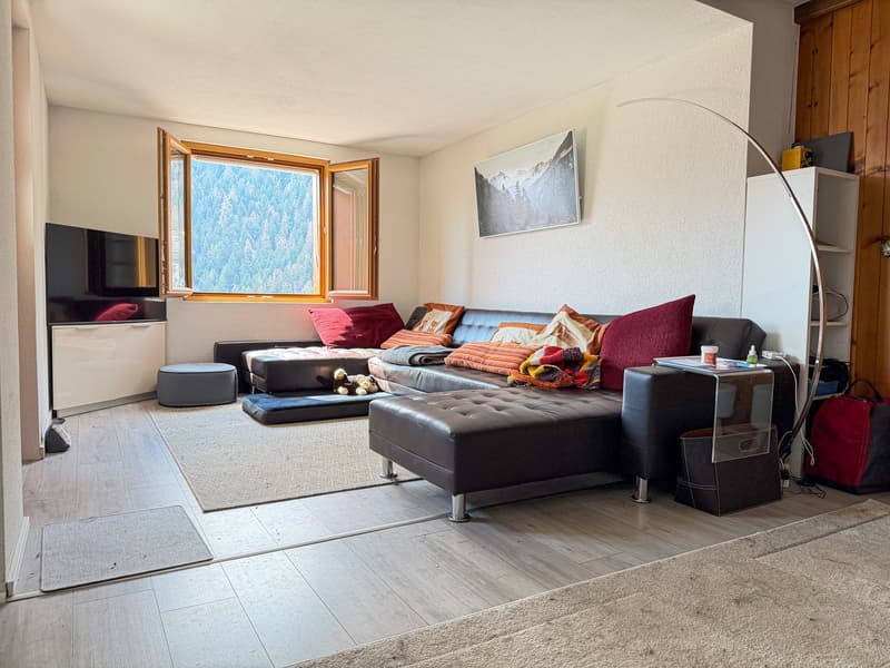 L-shaped sofa, carpet, TV, window with view, wooden wall, shelves