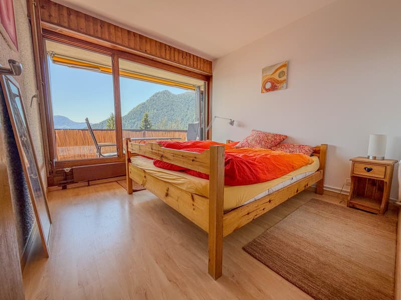 Charmant appartement de 3.5 pièces, cosy, lumineux, orienté plein sud à Ovronnaz (7)