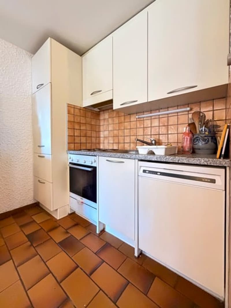 Charmant appartement de 3.5 pièces, cosy, lumineux, orienté plein sud à Ovronnaz (6)