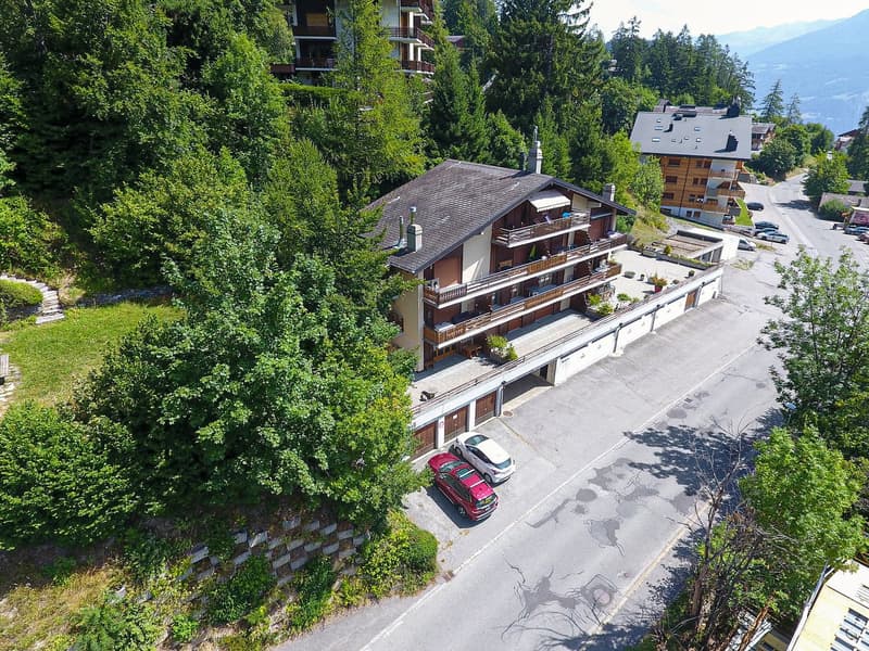 Appartement 2.5 pièces rénové avec grande terrasse sud et ouest à Ovronnaz/VS (13)