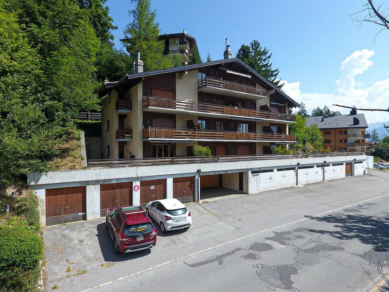 Appartement 2.5 pièces rénové avec grande terrasse sud et ouest à Ovronnaz/VS (12)