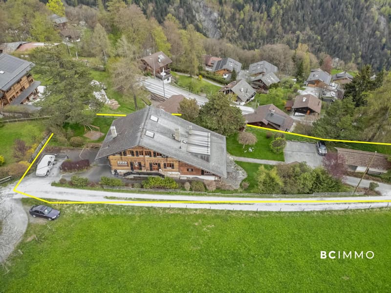 Grand chalet sur une magnifique parcelle (3)