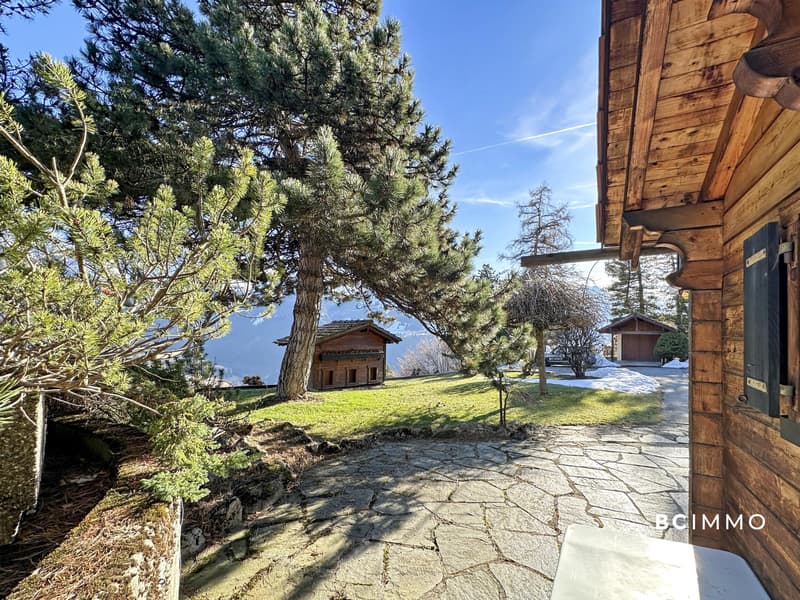 Grand chalet sur une magnifique parcelle (8)
