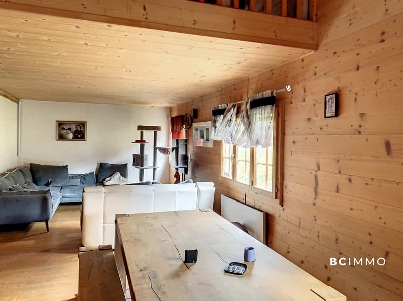 Chalet de deux appartements et un commerce | BC IMMO (8)