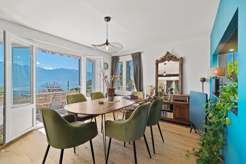 Belle maison - Vue panoramique (8)