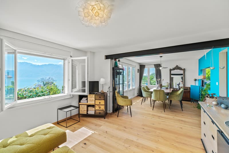 Belle maison - Vue panoramique (7)
