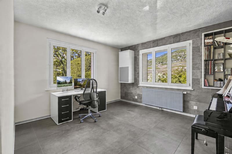 Magnifique villa familiale avec jardin d'exception (10)