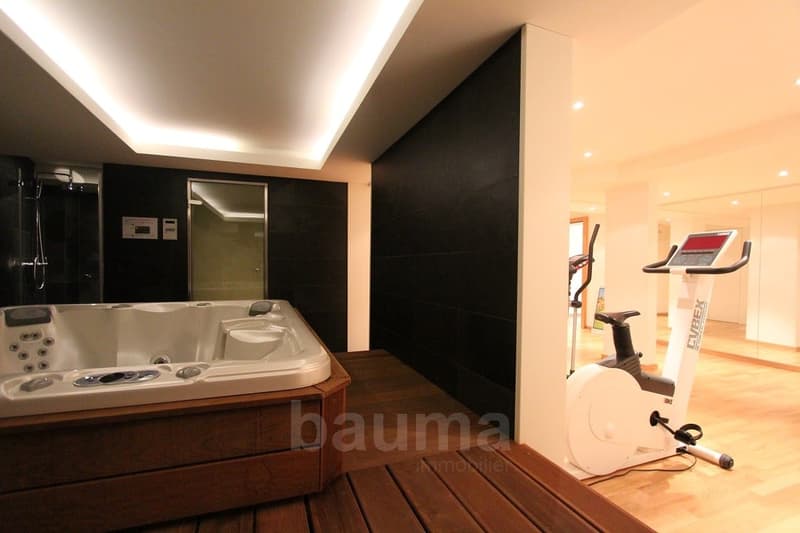 Spacieux appartement de prestige (12)