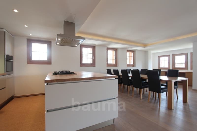 Spacieux appartement de prestige (4)