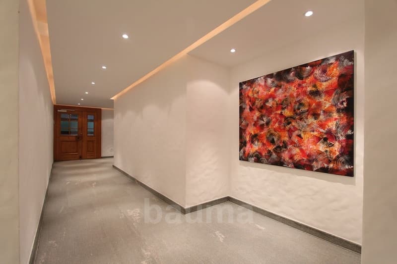 Spacieux appartement de prestige (11)
