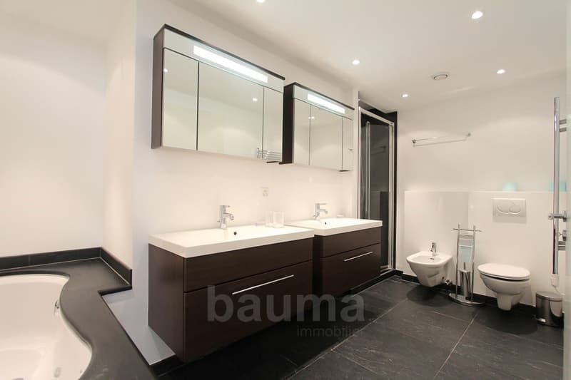 Spacieux appartement de prestige (9)