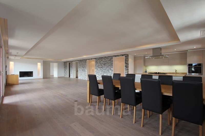 Spacieux appartement de prestige (5)