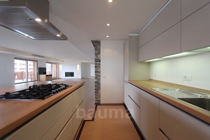 Spacieux appartement de prestige (3)