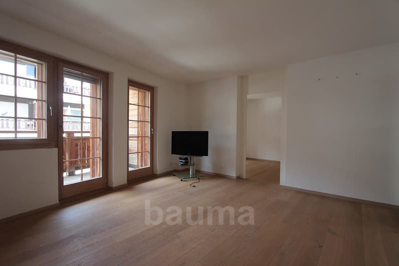 Spacieux appartement de prestige (8)