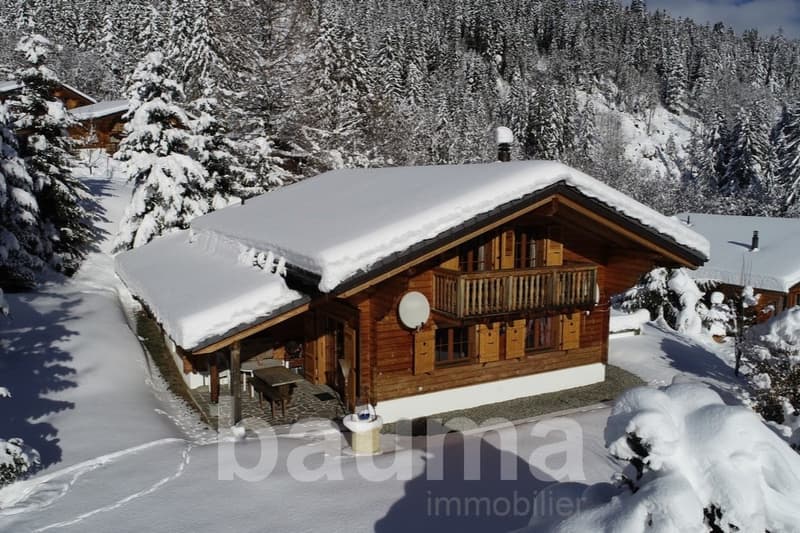 Chalet Remifacy (1)