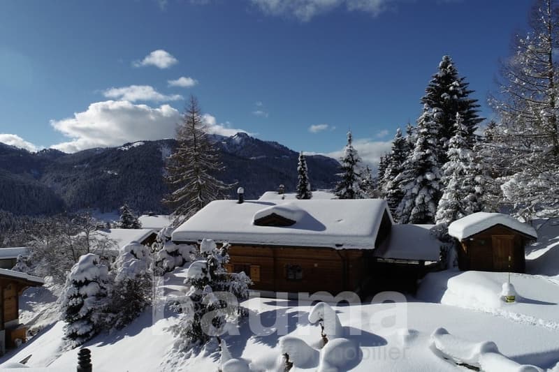 Chalet Remifacy (2)