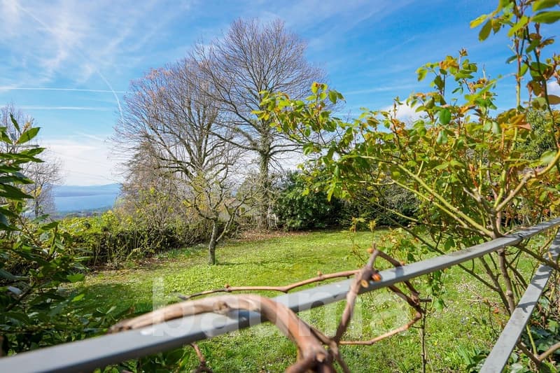 Green grassy field, trees, metal fence, blue sky, distant sea