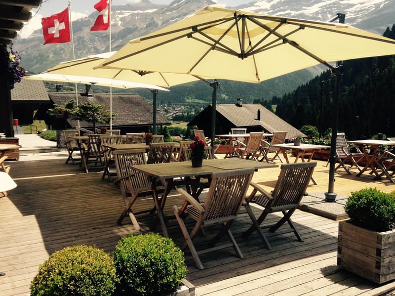 Le Grand Chalet des Bovets (3)
