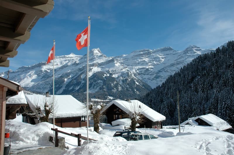 Le Grand Chalet des Bovets (2)