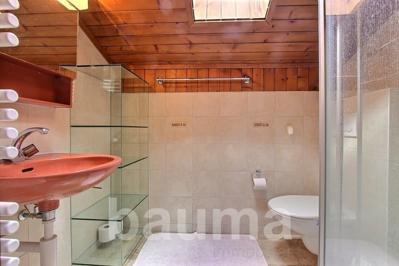 Bathroom with wooden ceiling, tiled walls, glass shower enclosure, red sink, and toilet