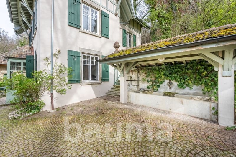 House with bricked ground, green windows and doors, stone pavement, trees in the surroundings