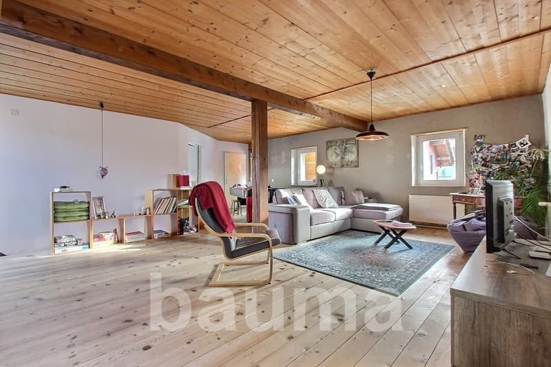 Wooden floor, wooden ceiling, gray couch, wooden chair, carpet, wooden shelves, radiator, lamp, television, table, pouf