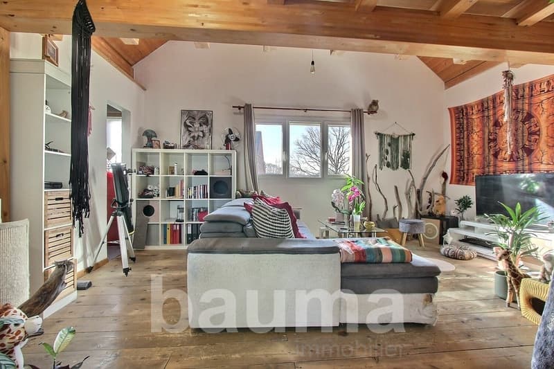 living room, gray sofa, wooden floor, bookshelves, large windows, TV, plants