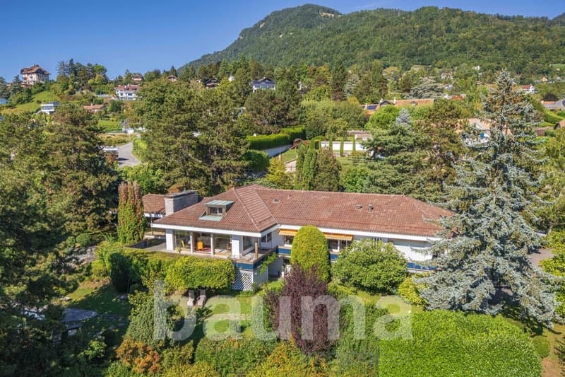 Detached house, brown roof, white walls, large windows, surrounded by trees and bushes, mountain in the background